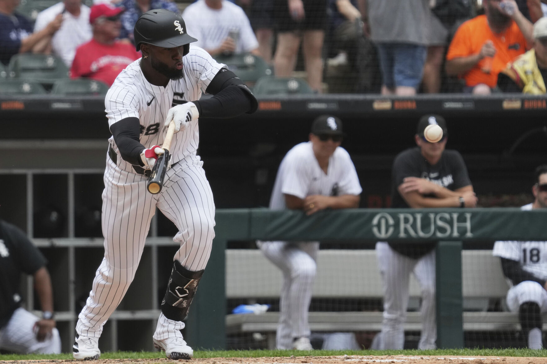 Cardinals White Sox Baseball